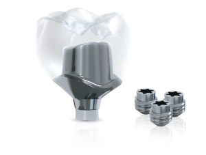 preMill Abutment with screws